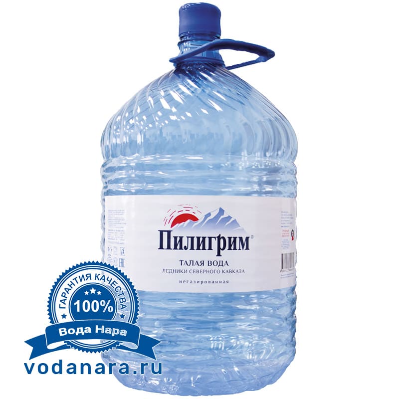 Пилигрим (ПЭТ)